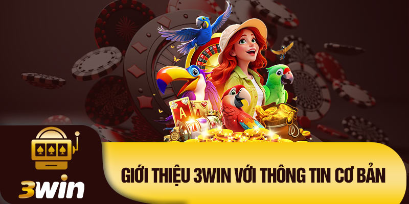 Giới thiệu 3Win với thông tin cơ bản