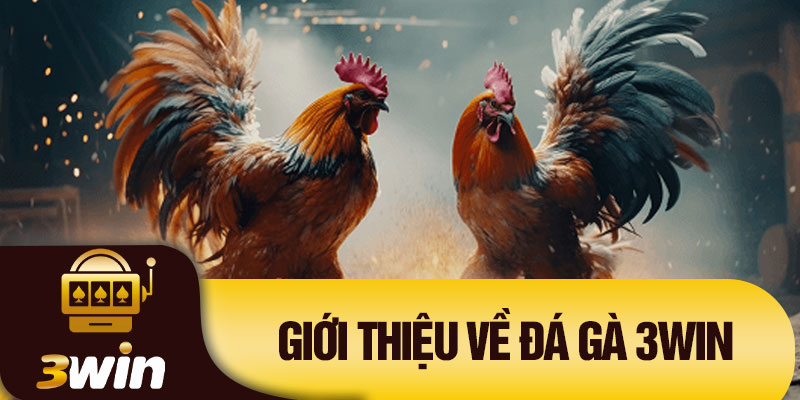 Giới thiệu về đá gà 3Win