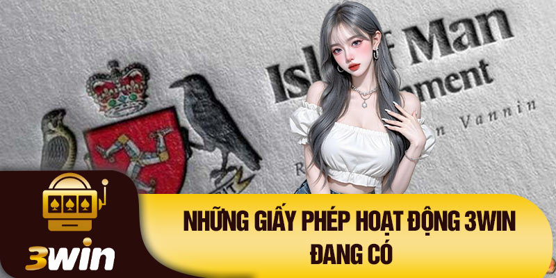 Những giấy phép hoạt động 3Win đang có