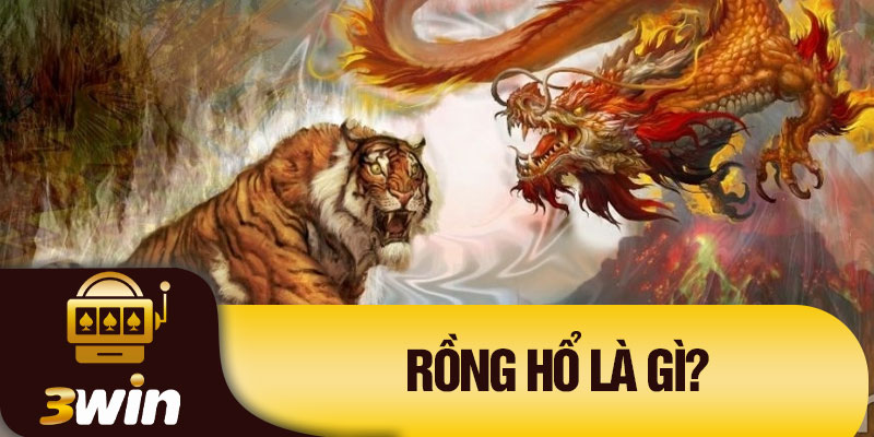 Rồng hổ là gì?