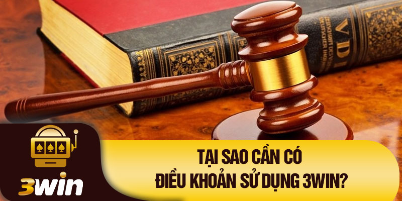 Tại sao cần có điều khoản sử dụng 3Win?